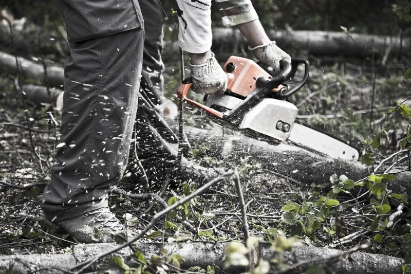 man chainsawing wood in forest